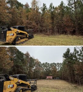 Live Oak Property Services skid steer clearing overgrown Lowcountry land